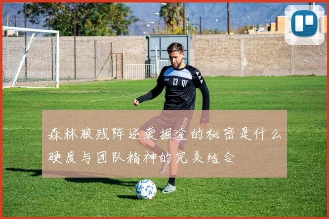 森林狼残阵逆袭掘金的秘密是什么硬度与团队精神的完美结合